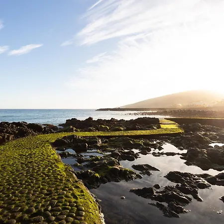 Home2book Bright In Puertito, Terrace & Pool *